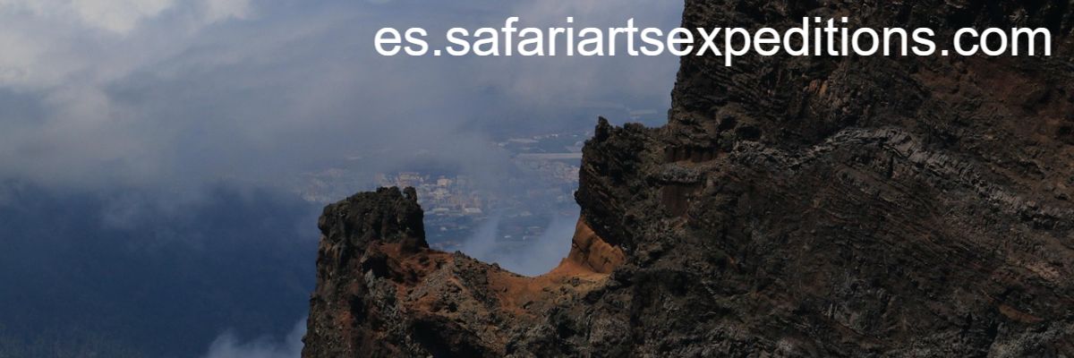 es.safariartsexpeditions.com